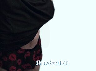 Shinedarillo111