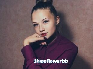 Shineflowerbb