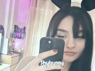 Shybunny