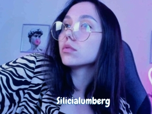 Silicialumberg