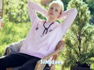 Silkydave