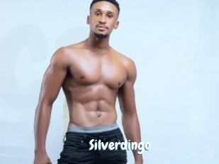 Silverdingo