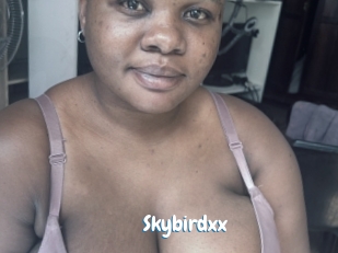 Skybirdxx