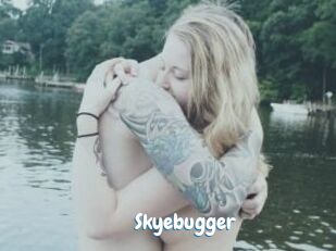 Skyebugger