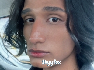 Skyyfox