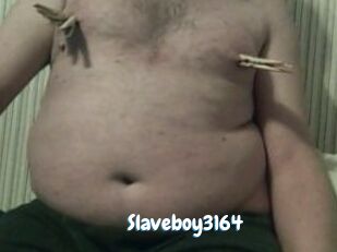Slaveboy3164
