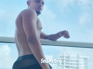 snakebig Coquine Avenue