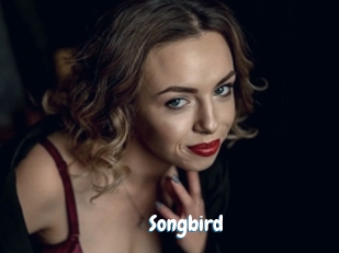 songbird Coquine Avenue