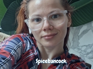 Spicebancock