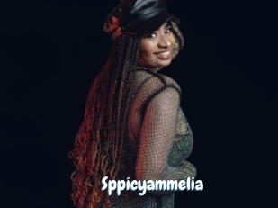 Sppicyammelia