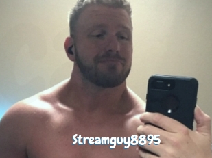 Streamguy8895