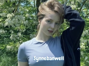 Synnebanwell