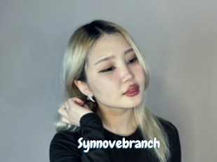 Synnovebranch