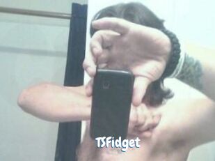 TSFidget