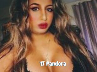 TS_Pandora