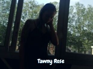 Tawny_Rose