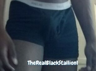 TheRealBlackStallion1