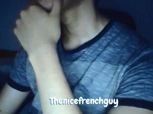 Thenicefrenchguy