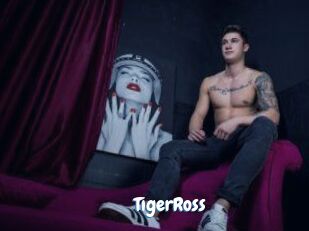 TigerRoss Coquine Avenue