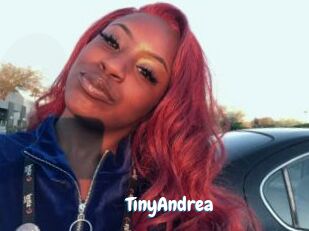TinyAndrea