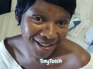 TinyToosh