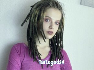 Taitegodsil
