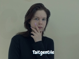 Taitgentile