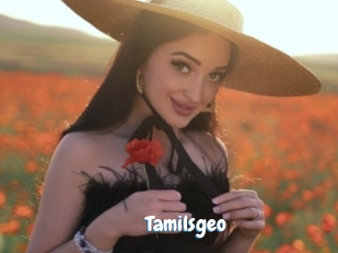 Tamilsgeo