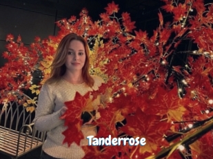 Tanderrose