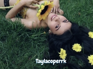Taylacoperrk