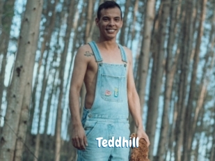 Teddhill