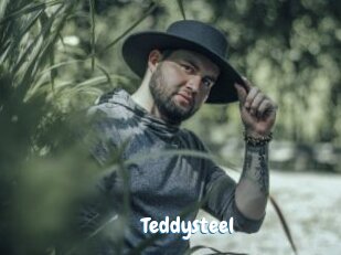 Teddysteel