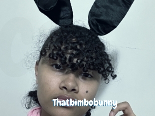 Thatbimbobunny