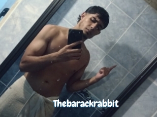 Thebarackrabbit