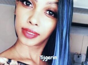 Tijgerin