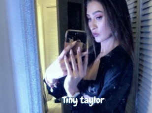 Tiny_taylor
