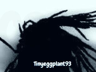 Tinyeggplant93