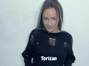 Torisan
