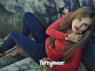 Torrymoor