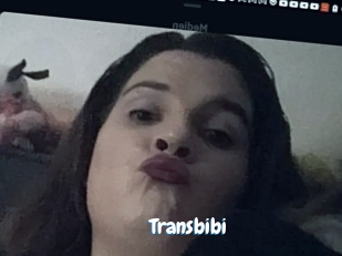 Transbibi