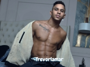 Trevorlamar