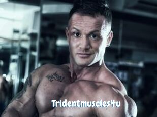 Tridentmuscles4u