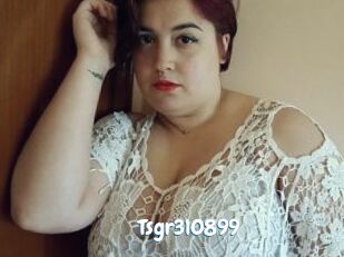 Tsgr310899