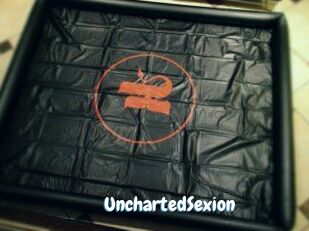 UnchartedSexion