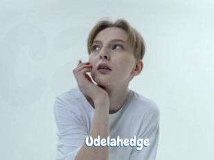 Udelahedge
