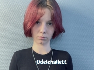 Udelehallett