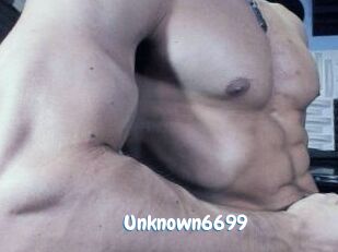 Unknown6699