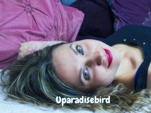 Uparadisebird