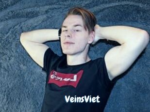 VeinsViet