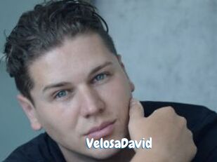VelosaDavid